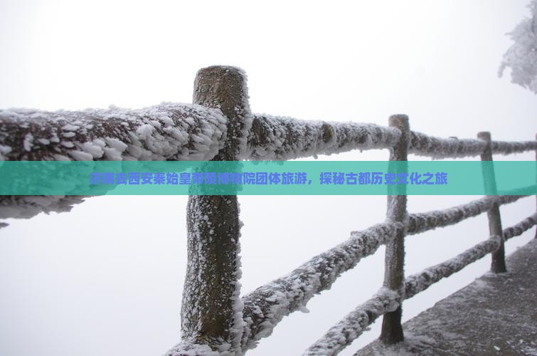 济南去西安秦始皇帝陵博物院团体旅游，探秘古都历史文化之旅