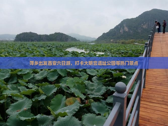 萍乡出发西安六日游，打卡大明宫遗址公园等热门景点
