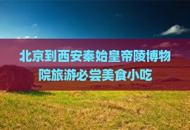 北京到西安秦始皇帝陵博物院旅游必尝美食小吃