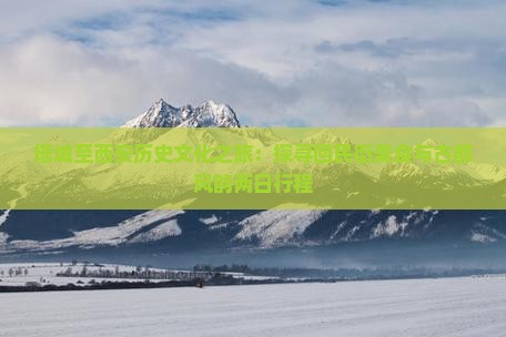 塔城至西安历史文化之旅：探寻回民街美食与古都风韵两日行程