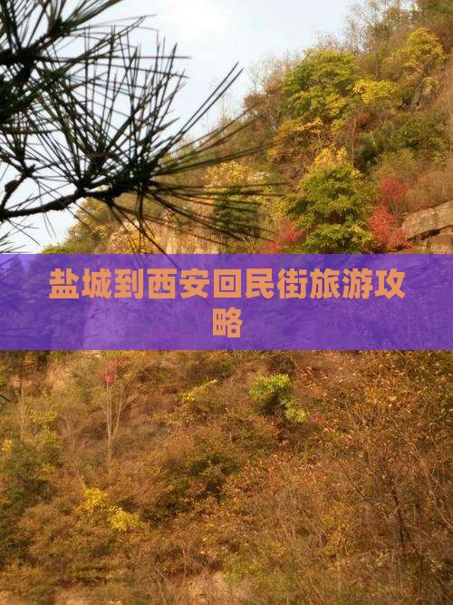 盐城到西安回民街旅游攻略
