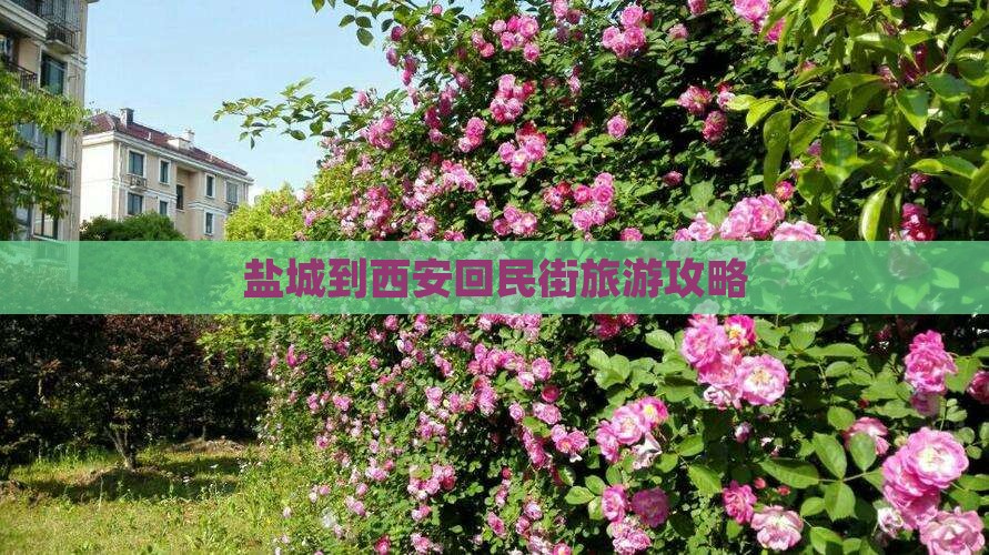 盐城到西安回民街旅游攻略