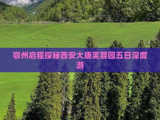 鄂州启程探秘西安大唐芙蓉园五日深度游