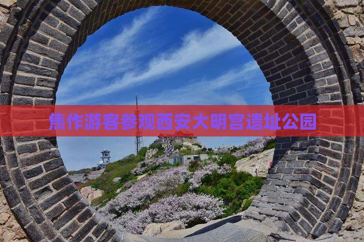 焦作游客参观西安大明宫遗址公园