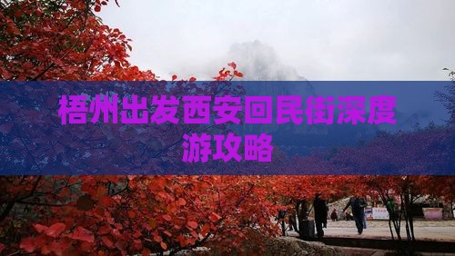 梧州出发西安回民街深度游攻略