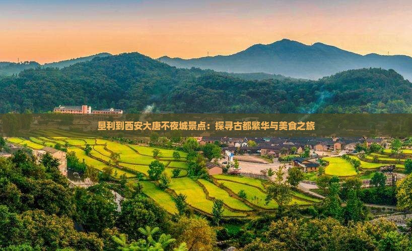 垦利到西安大唐不夜城景点：探寻古都繁华与美食之旅