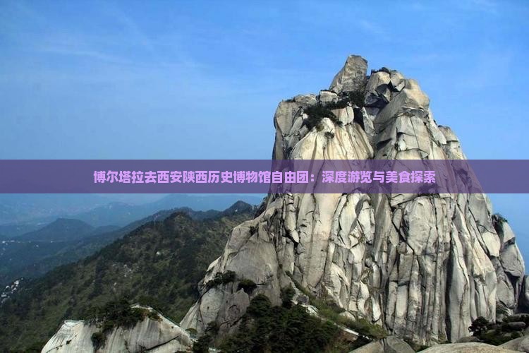 博尔塔拉去西安陕西历史博物馆自由团：深度游览与美食探索