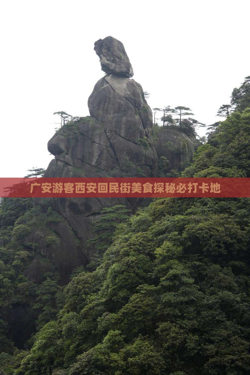 广安游客西安回民街美食探秘必打卡地