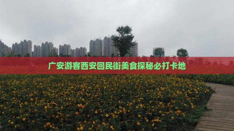 广安游客西安回民街美食探秘必打卡地