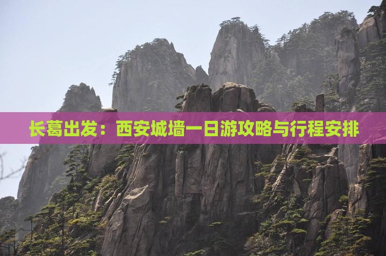 长葛出发：西安城墙一日游攻略与行程安排
