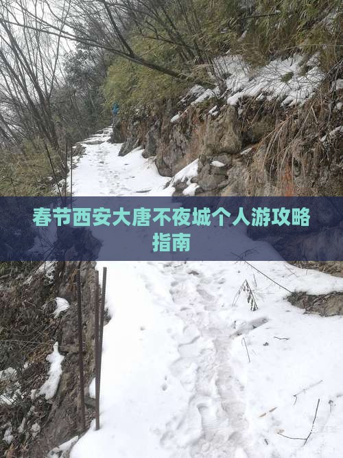 春节西安大唐不夜城个人游攻略指南