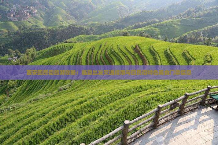 西安回民街旅游攻略：临夏出发交通指南与回民街特色美食门票信息