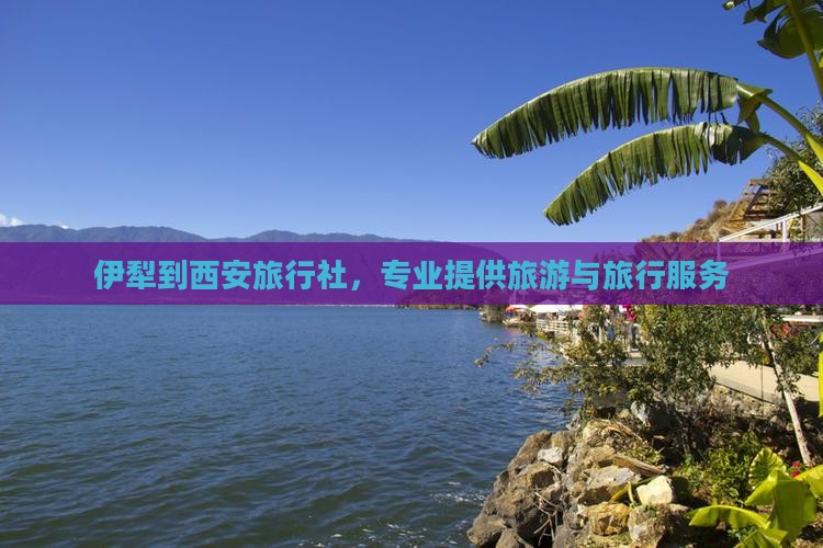 伊犁到西安旅行社，专业提供旅游与旅行服务