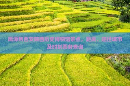 鹰潭到西安陕西历史博物馆景点，距离、途径城市及时刻票务查询