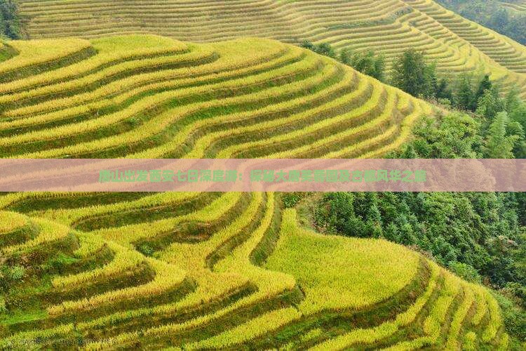 唐山出发西安七日深度游：探秘大唐芙蓉园及古都风华之旅