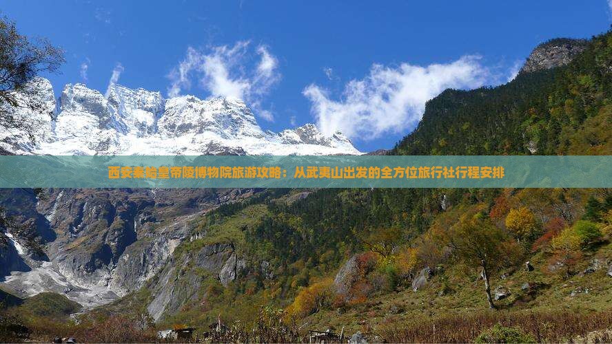 西安秦始皇帝陵博物院旅游攻略：从武夷山出发的全方位旅行社行程安排