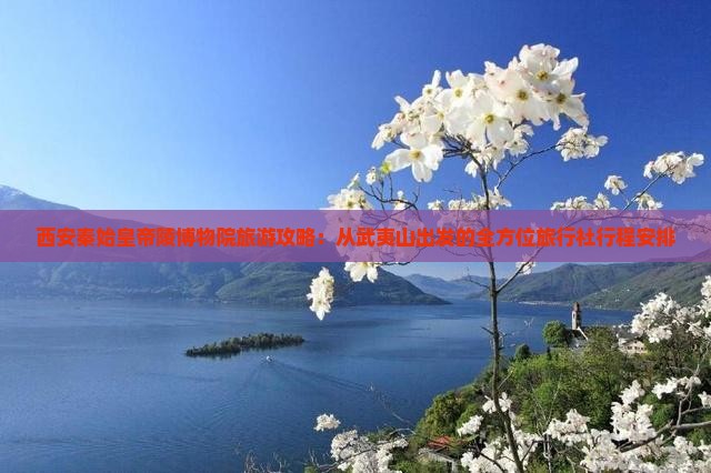 西安秦始皇帝陵博物院旅游攻略：从武夷山出发的全方位旅行社行程安排