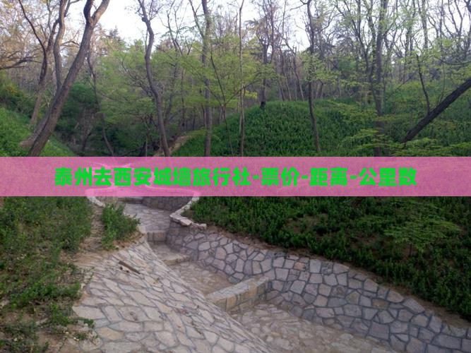 泰州去西安城墙旅行社-票价-距离-公里数