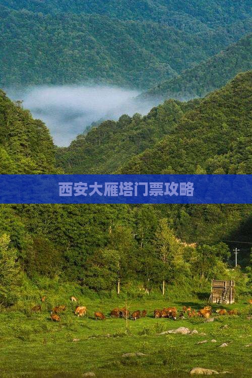 西安大雁塔门票攻略