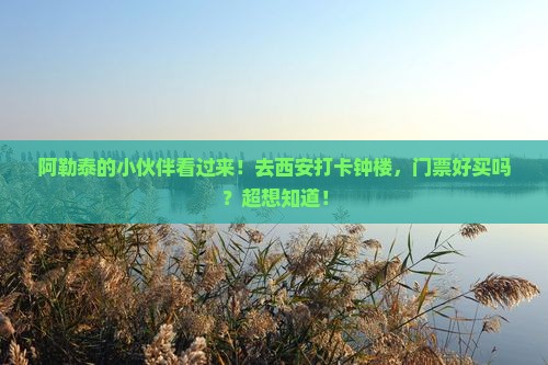 阿勒泰去西安钟楼门票