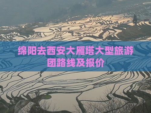 绵阳去西安大雁塔大型旅游团