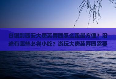 白银到西安大唐芙蓉园旅游小吃