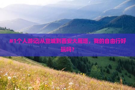 宣城去西安大雁塔个人游