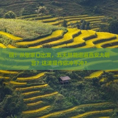 张家口到西安大明宫国家遗址公园五日游
