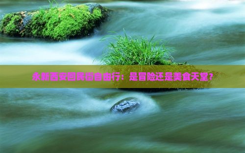 永新去西安回民街自由行