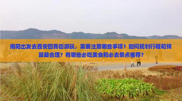 揭阳去西安回民街个人游