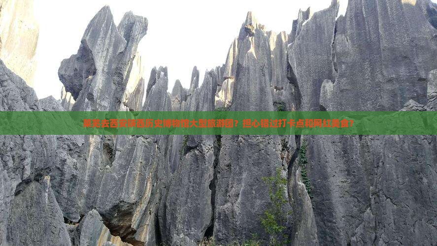 莱芜去西安陕西历史博物馆大型旅游团