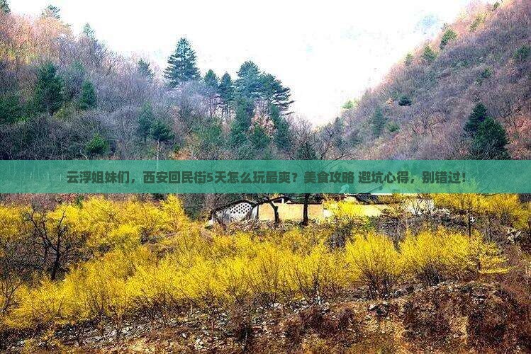 云浮去西安回民街攻略