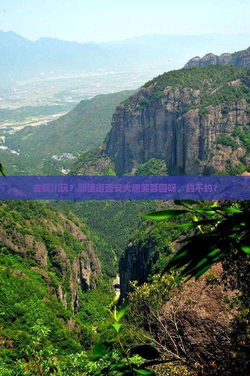 铜川去西安大唐芙蓉园旅行社