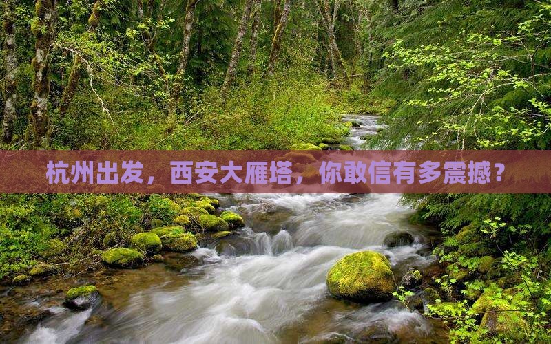 杭州去西安大雁塔景点