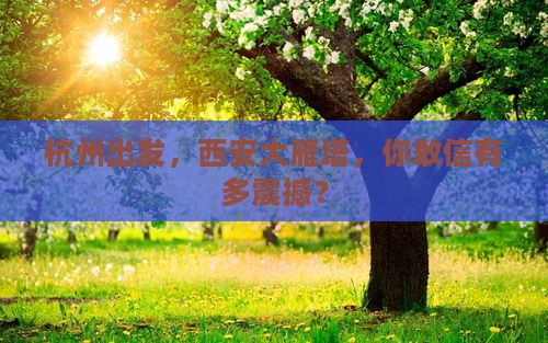 杭州去西安大雁塔景点