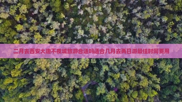 二月去西安大唐不夜城旅游