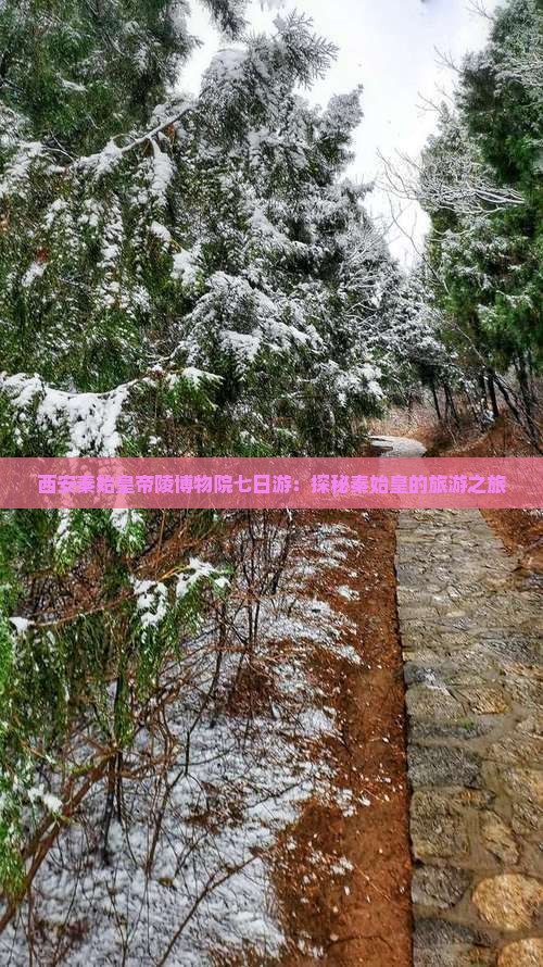 荆州到西安秦始皇帝陵博物院七日游