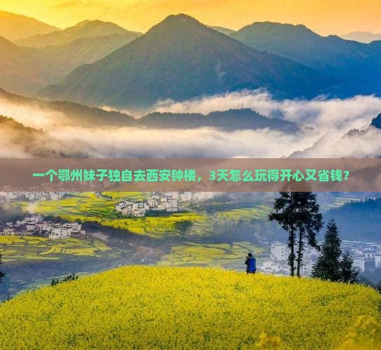 鄂州去西安钟楼个人游