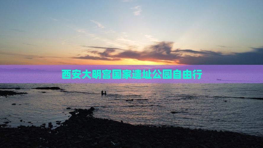 陇南到西安大明宫国家遗址公园自由团