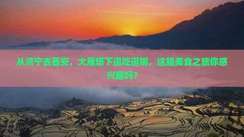 济宁到西安大雁塔旅游小吃