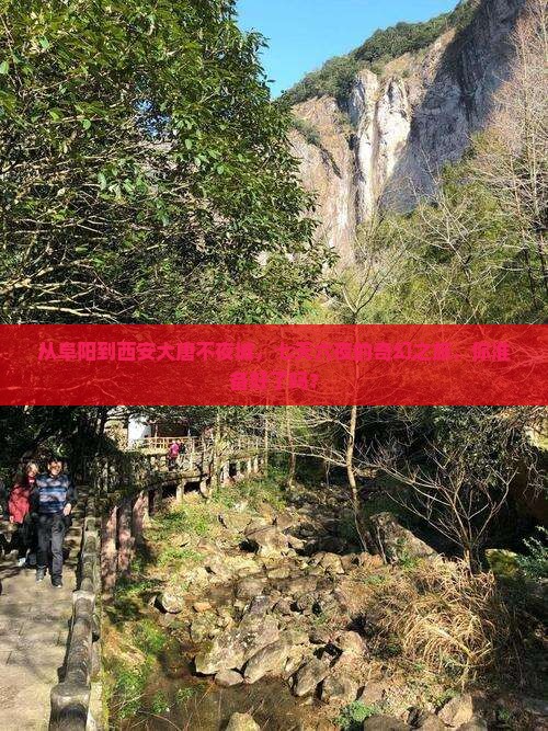 阜阳去西安大唐不夜城七日游
