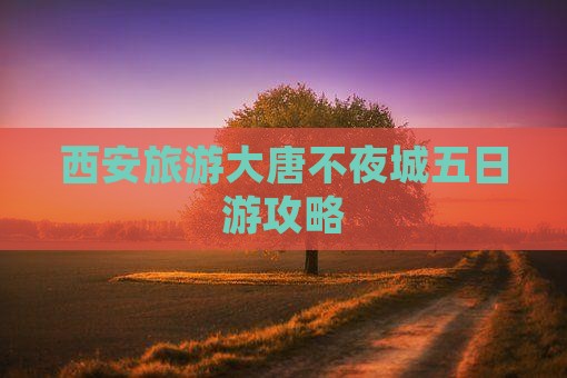 怒江到西安大唐不夜城五日游