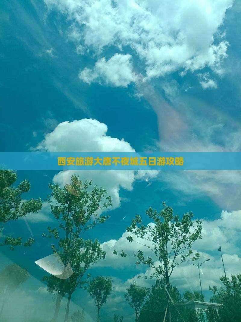 怒江到西安大唐不夜城五日游