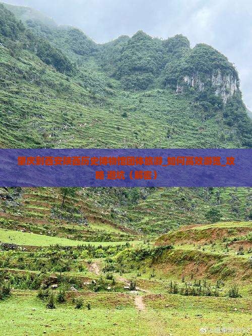 肇庆到西安陕西历史博物馆团体旅游