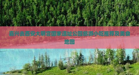 嘉兴去西安大明宫国家遗址公园旅游小吃