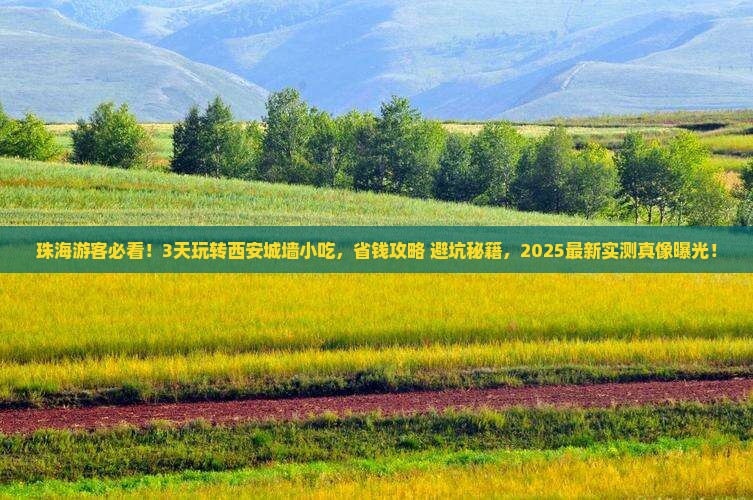 珠海到西安城墙旅游小吃