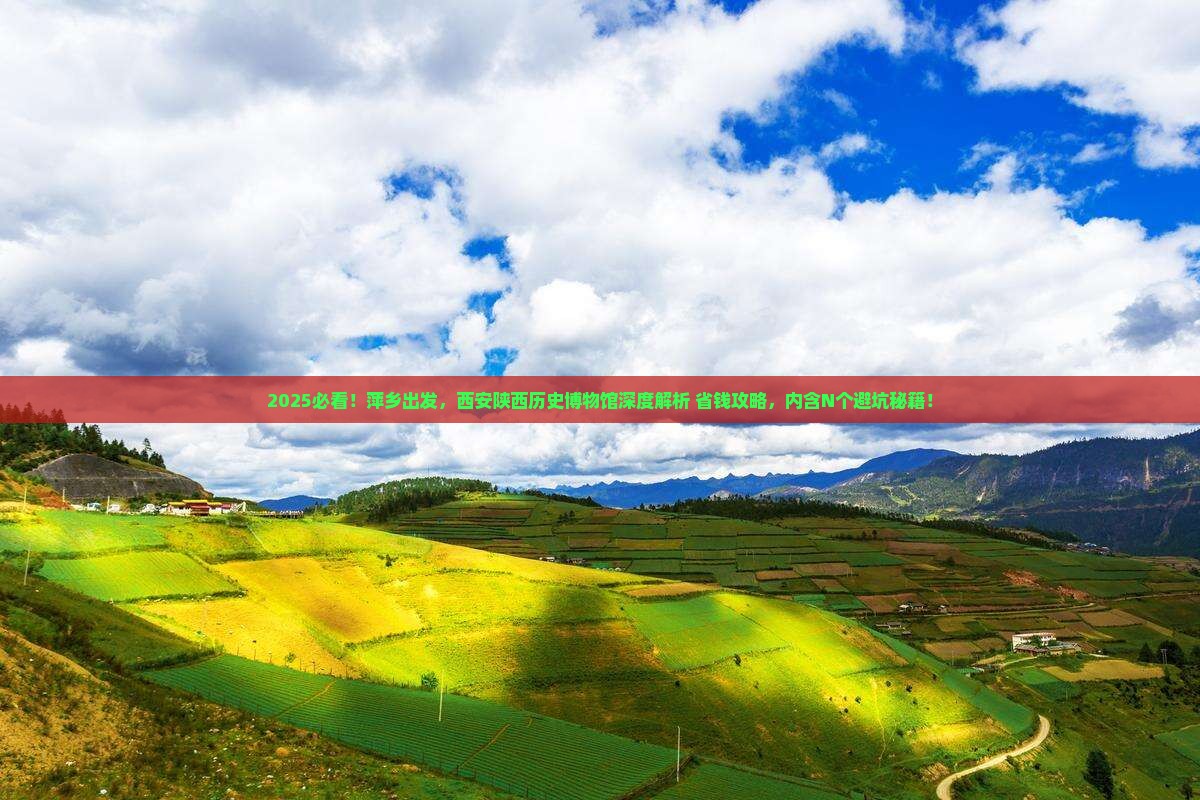 萍乡到西安陕西历史博物馆必去地