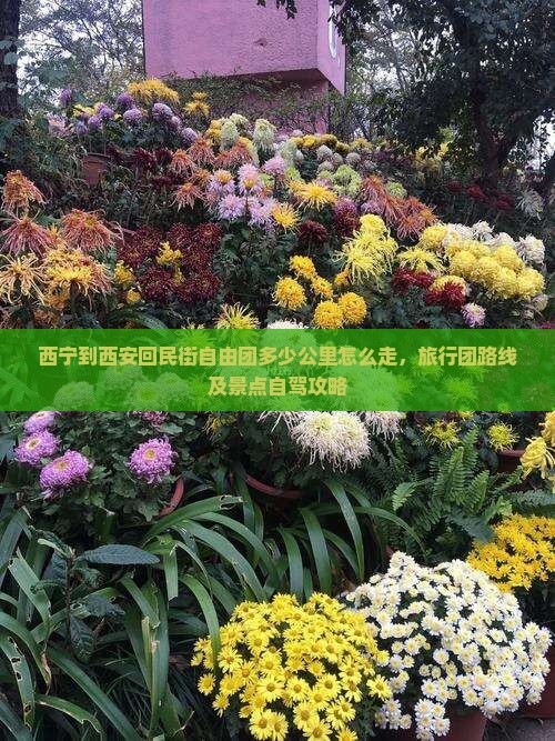 西宁到西安回民街自由团