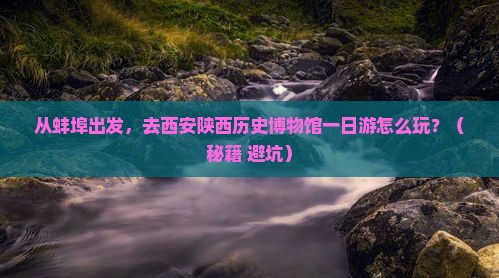 蚌埠去西安陕西历史博物馆一日游