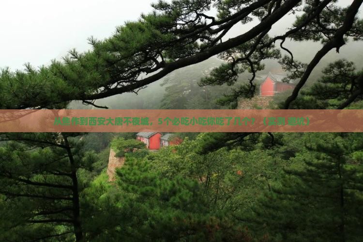 焦作去西安大唐不夜城旅游小吃